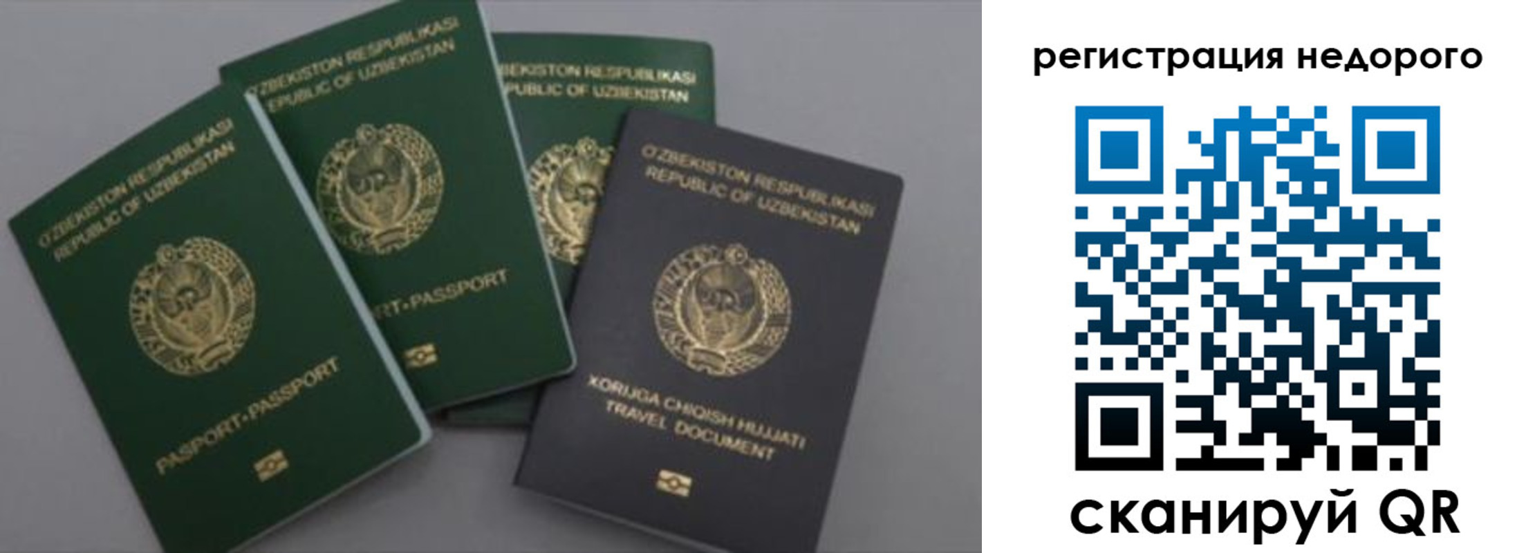 пропишу в квартире в Медногорске